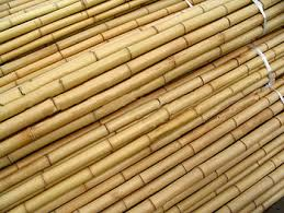 Why Engineers Use Bamboo For Building