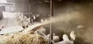 Hay Sprayer Animal Feeding Machine