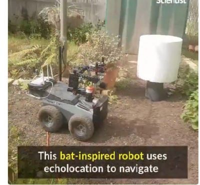 Bat-inspired robot