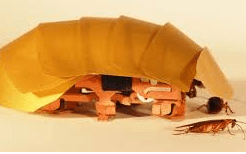 The Cockroach robot
