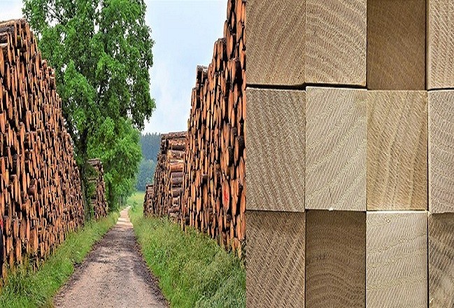 List Of Woods & Sawmills Supplying Industries In Nigeria