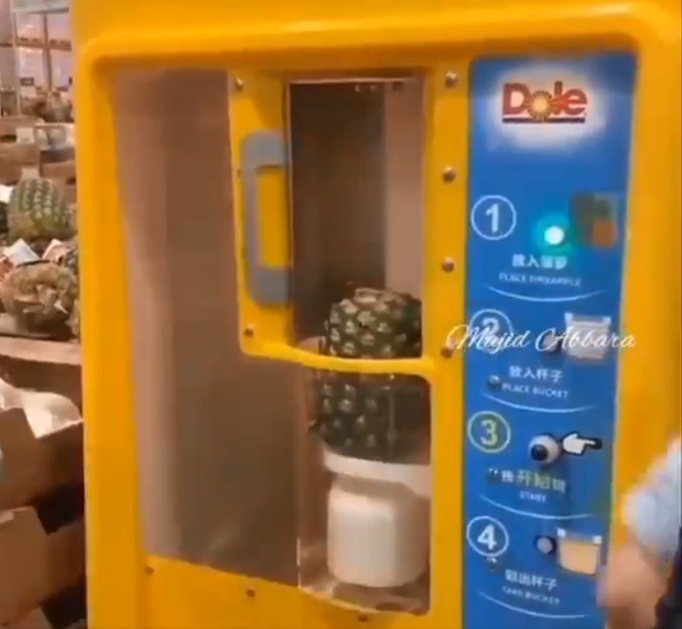 China made pineapple peeling machine