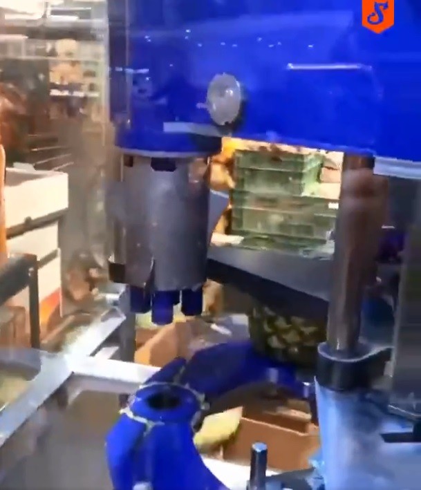 German Made Pineapple peeling Machine