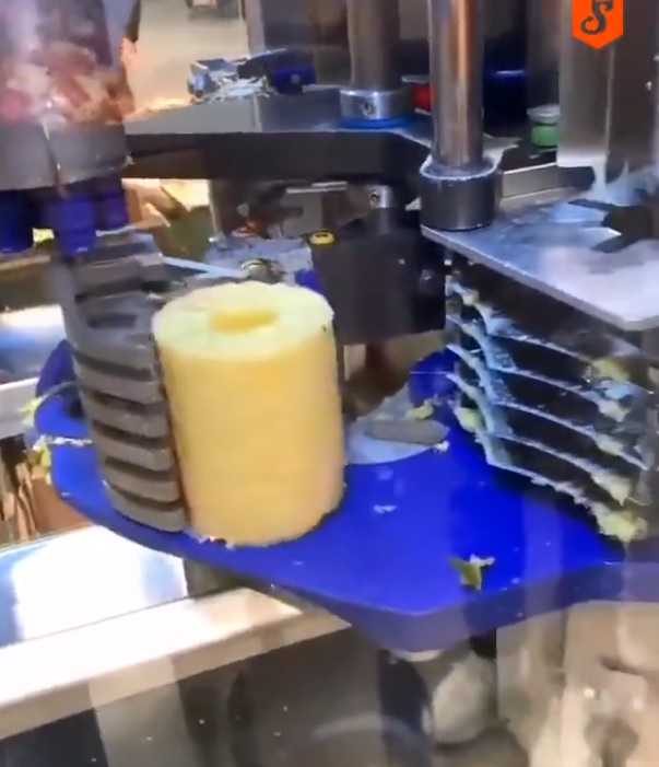 German Made Pineapple peeling Machine
