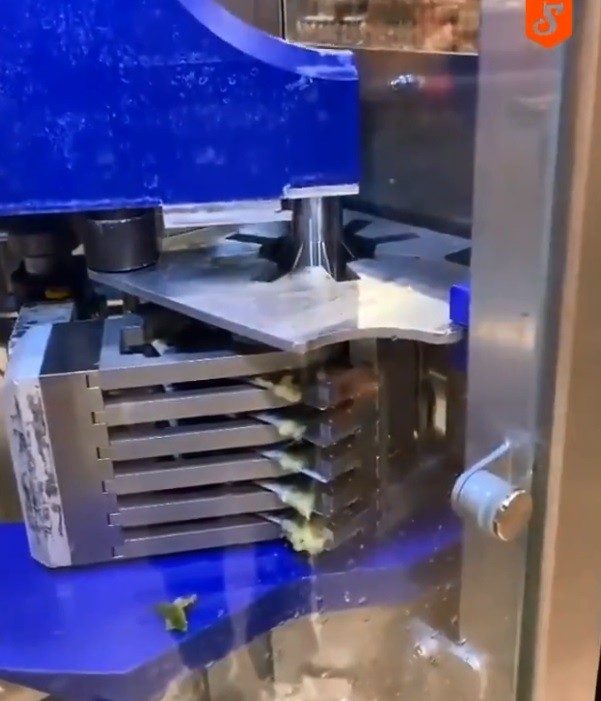 German Made Pineapple peeling Machine