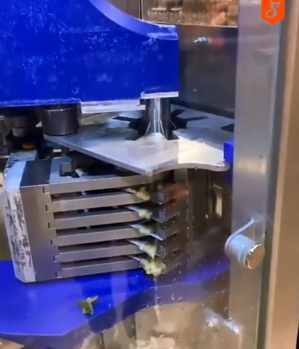 German Made Pineapple peeling Machine
