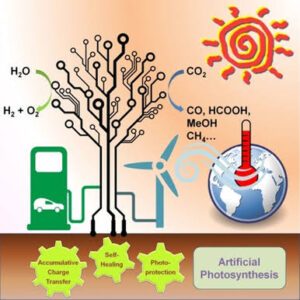 Scientists Are At The Verge of Discovering Artificial Photosynthesis for Clean Fuel Production