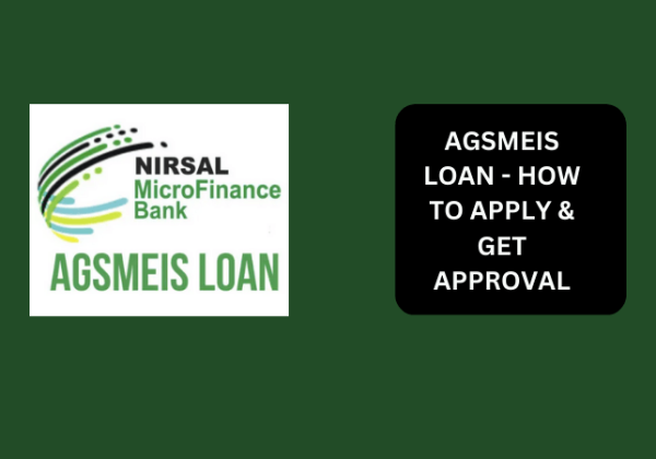 How to Check Nirsal Loan Approval with BVN Number